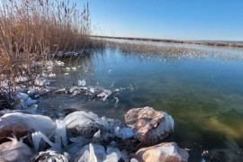 Thumbnail for 6891022