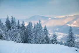 Thumbnail for 6891482