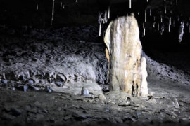 Thumbnail for 6891841