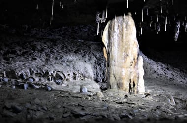 Thumbnail for 6891841