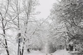 Thumbnail for 6892432