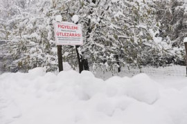 Thumbnail for 6893959