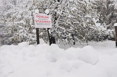 Thumbnail for 6893959