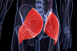 Thumbnail for 6894135