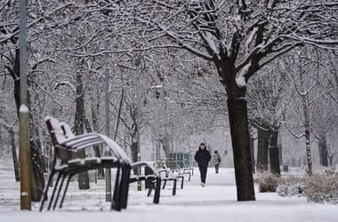 Thumbnail for 6894623