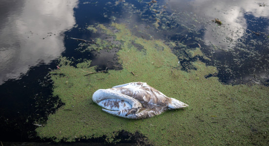 Thumbnail for 6894958