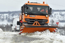 Thumbnail for 6895062