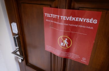 Thumbnail for 6895135