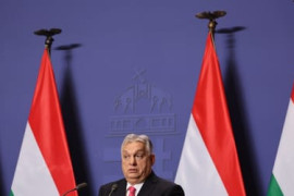 Thumbnail for 6895173