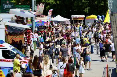 Thumbnail for 6895618