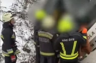 Thumbnail for 6895639