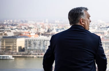 Thumbnail for 6895844