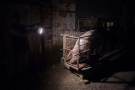 Thumbnail for 6895956