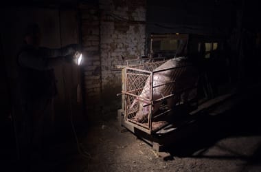 Thumbnail for 6895956