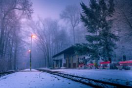 Thumbnail for 6896272