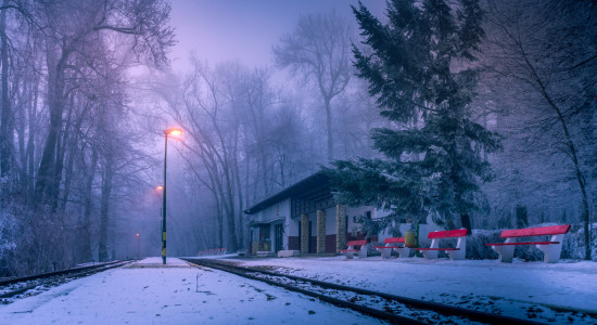 Thumbnail for 6896272