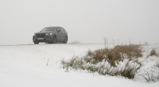 Thumbnail for 6898175