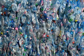 Thumbnail for 6900092