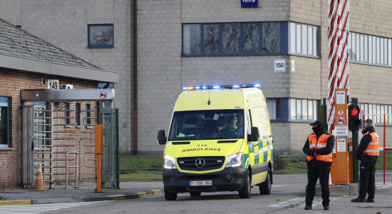 Thumbnail for 6900146