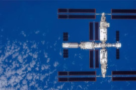 Thumbnail for 6900169