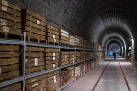 Thumbnail for 6900210