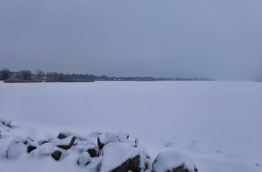 Thumbnail for 6900217