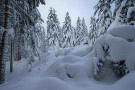 Thumbnail for 6900427