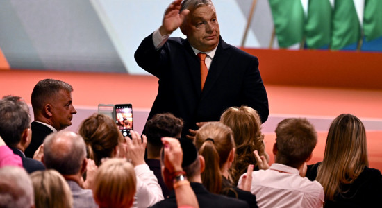 Thumbnail for 6900468