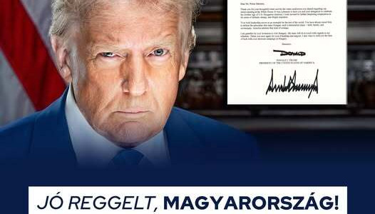 Thumbnail for 6900624