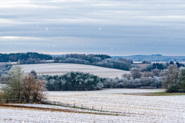 Thumbnail for 6901705