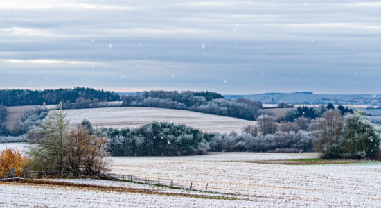 Thumbnail for 6901705