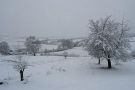 Thumbnail for 6901781