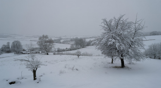 Thumbnail for 6901781