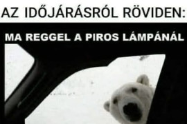 Thumbnail for 6901871