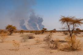 Thumbnail for 6901876