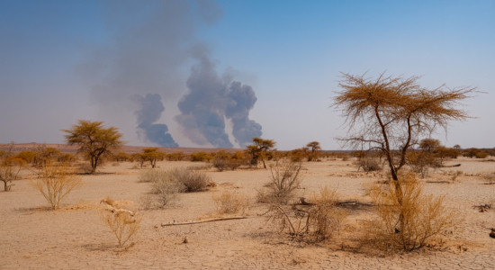 Thumbnail for 6901876