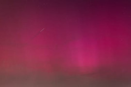 Thumbnail for 6901896