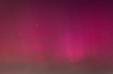 Thumbnail for 6901896