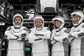 Thumbnail for 6902145