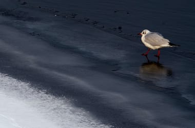 Thumbnail for 6902204