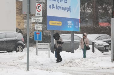 Thumbnail for 6902472