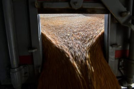 Thumbnail for 6902725