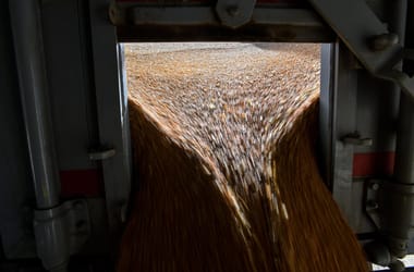 Thumbnail for 6902725