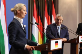 Thumbnail for 6903173