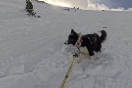 Thumbnail for 6903247