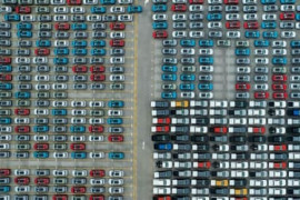 Thumbnail for 6903253