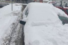 Thumbnail for 6903264