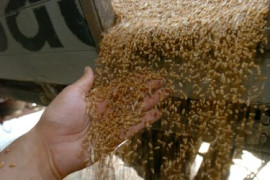 Thumbnail for 6903360