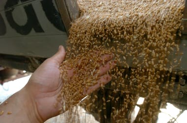 Thumbnail for 6903360