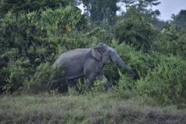 Thumbnail for 6903828